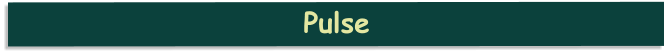 Pulse